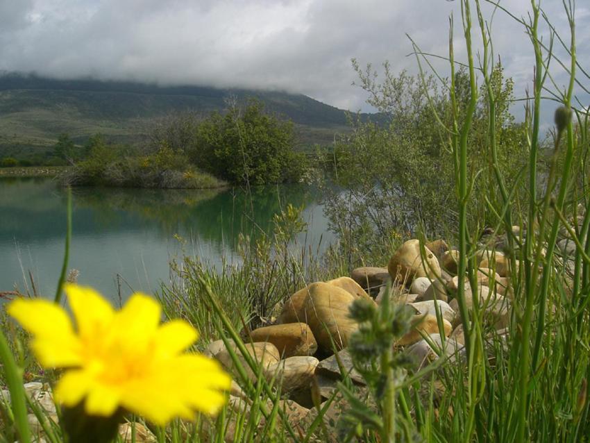 Al Viento, Alojamiento & Turismo Rural Pradena Del Rincon المظهر الخارجي الصورة
