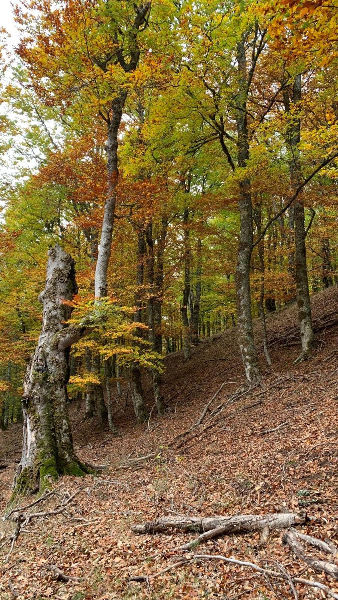Al Viento, Alojamiento & Turismo Rural Pradena Del Rincon المظهر الخارجي الصورة