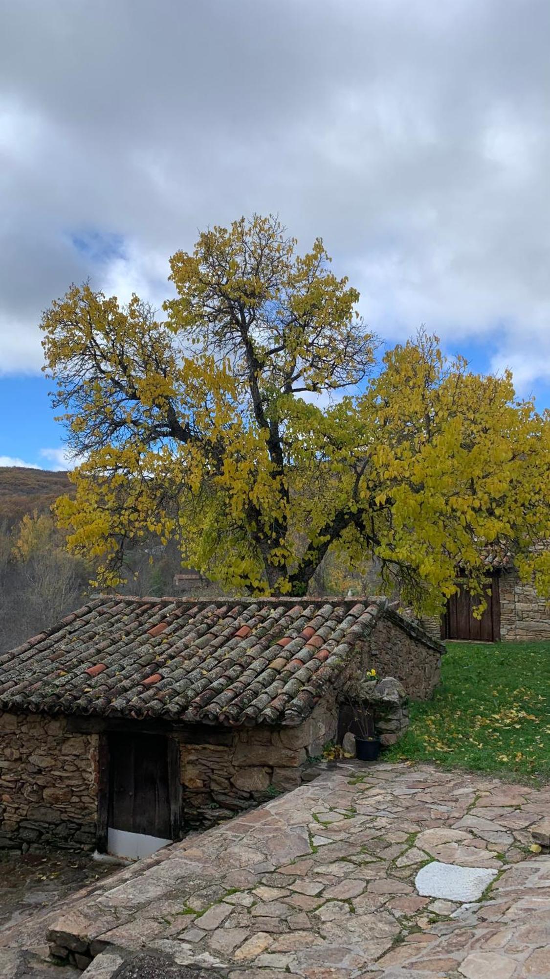 Al Viento, Alojamiento & Turismo Rural Pradena Del Rincon المظهر الخارجي الصورة