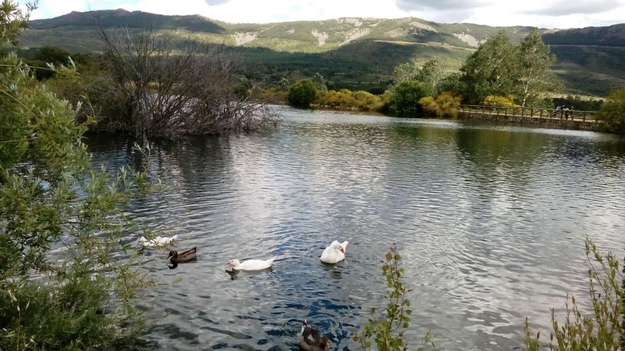 Al Viento, Alojamiento & Turismo Rural Pradena Del Rincon المظهر الخارجي الصورة