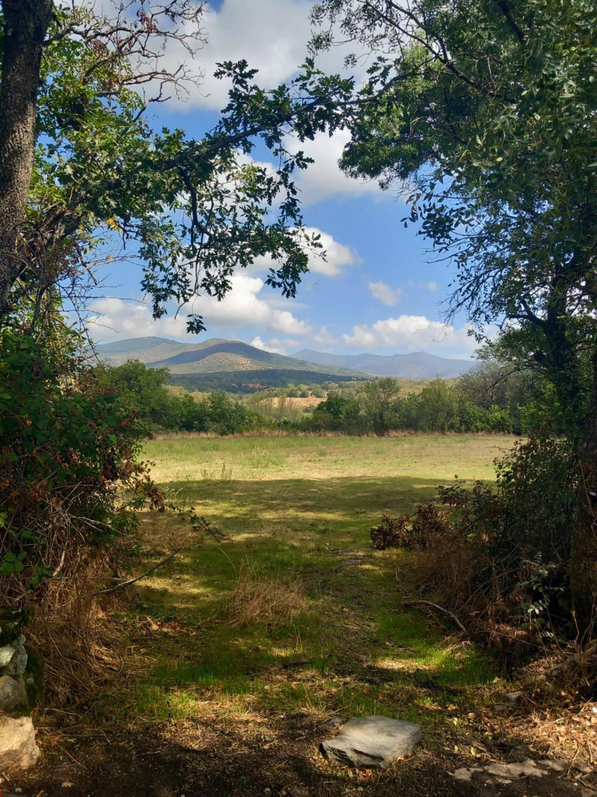 Al Viento, Alojamiento & Turismo Rural Pradena Del Rincon المظهر الخارجي الصورة