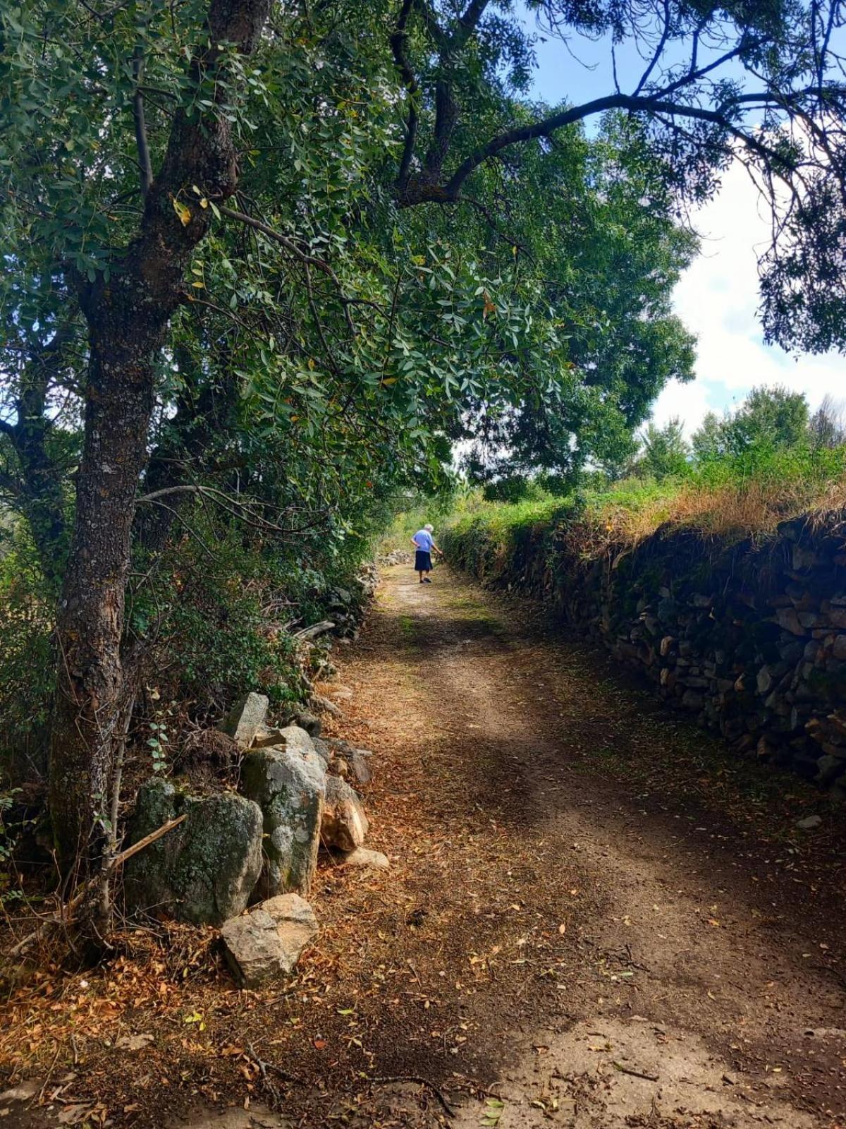 Al Viento, Alojamiento & Turismo Rural Pradena Del Rincon المظهر الخارجي الصورة