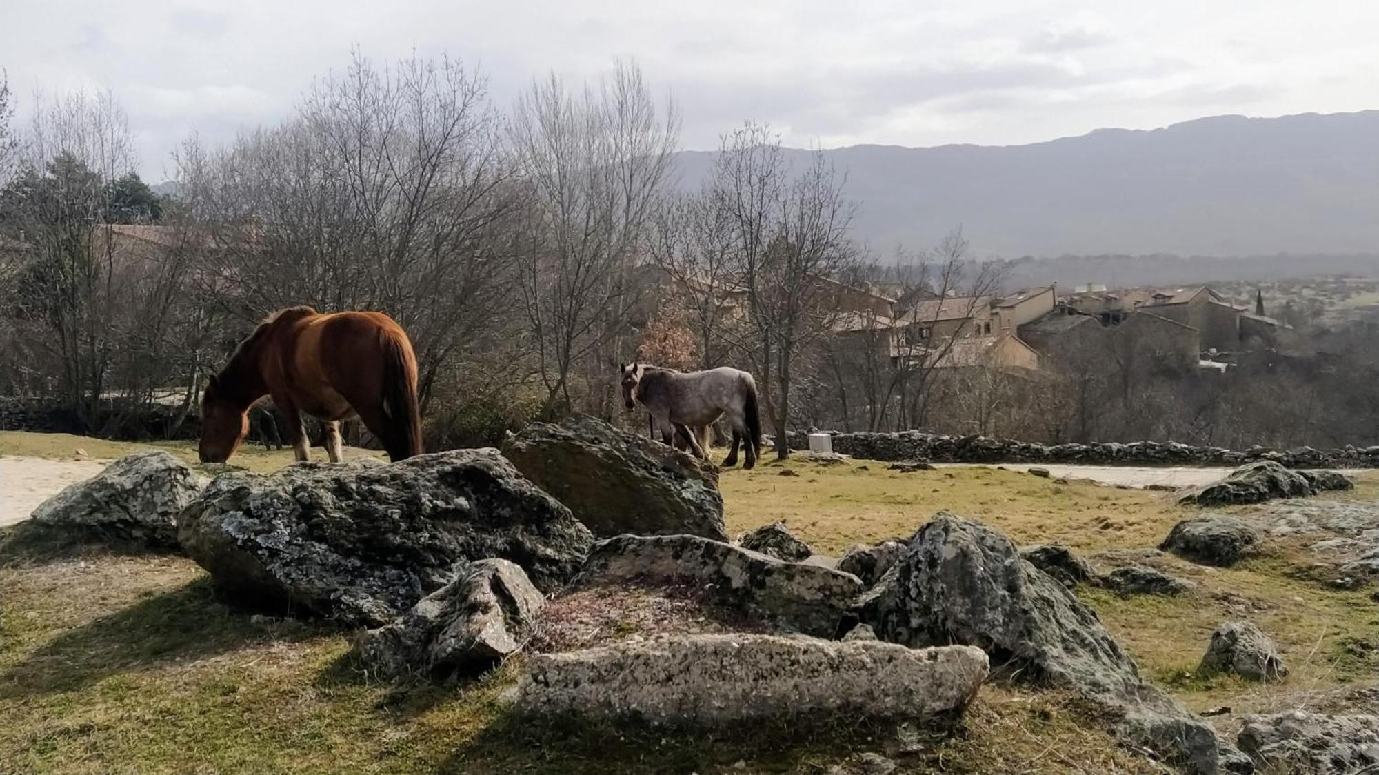 Al Viento, Alojamiento & Turismo Rural Pradena Del Rincon المظهر الخارجي الصورة
