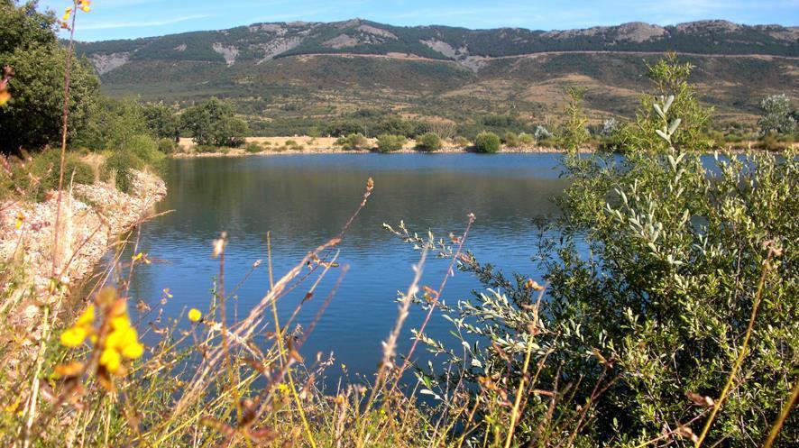 Al Viento, Alojamiento & Turismo Rural Pradena Del Rincon المظهر الخارجي الصورة