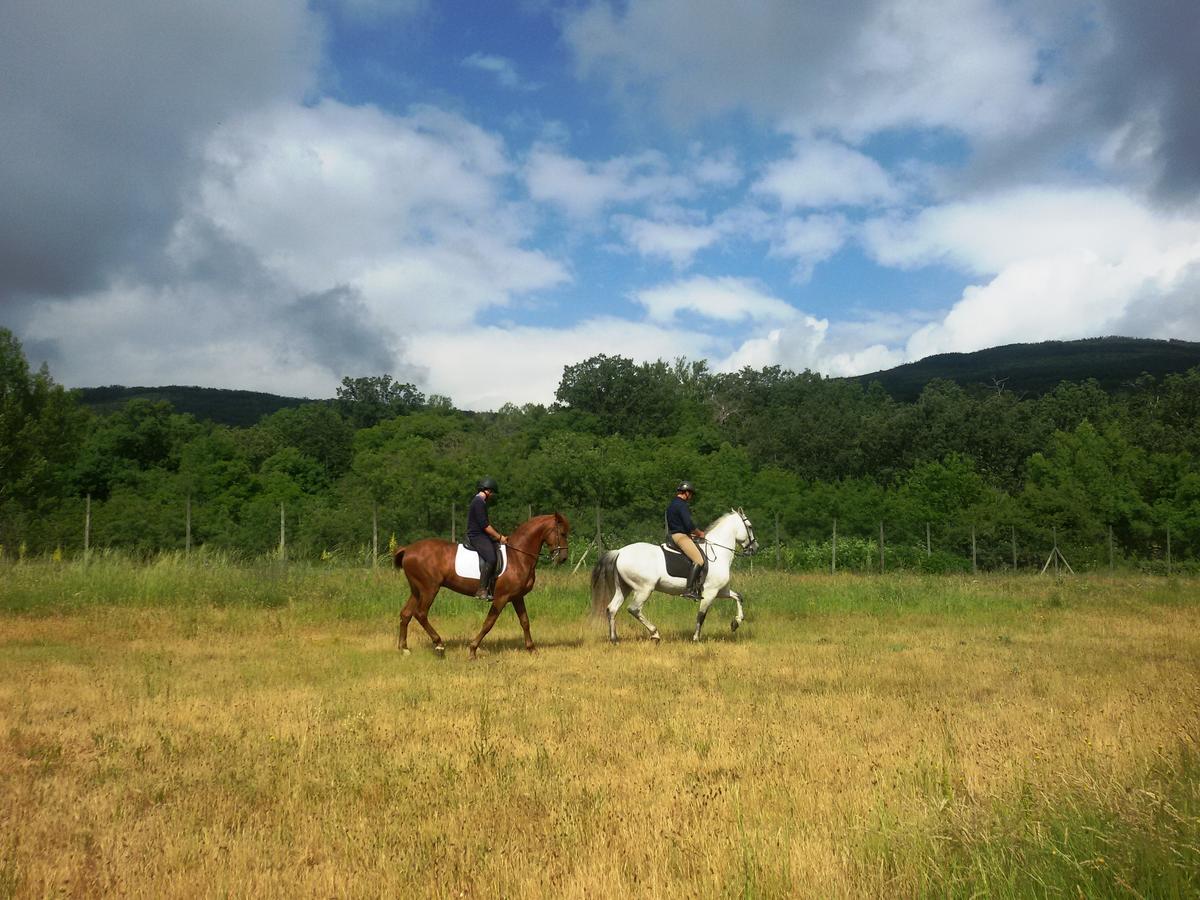 Al Viento, Alojamiento & Turismo Rural Pradena Del Rincon المظهر الخارجي الصورة