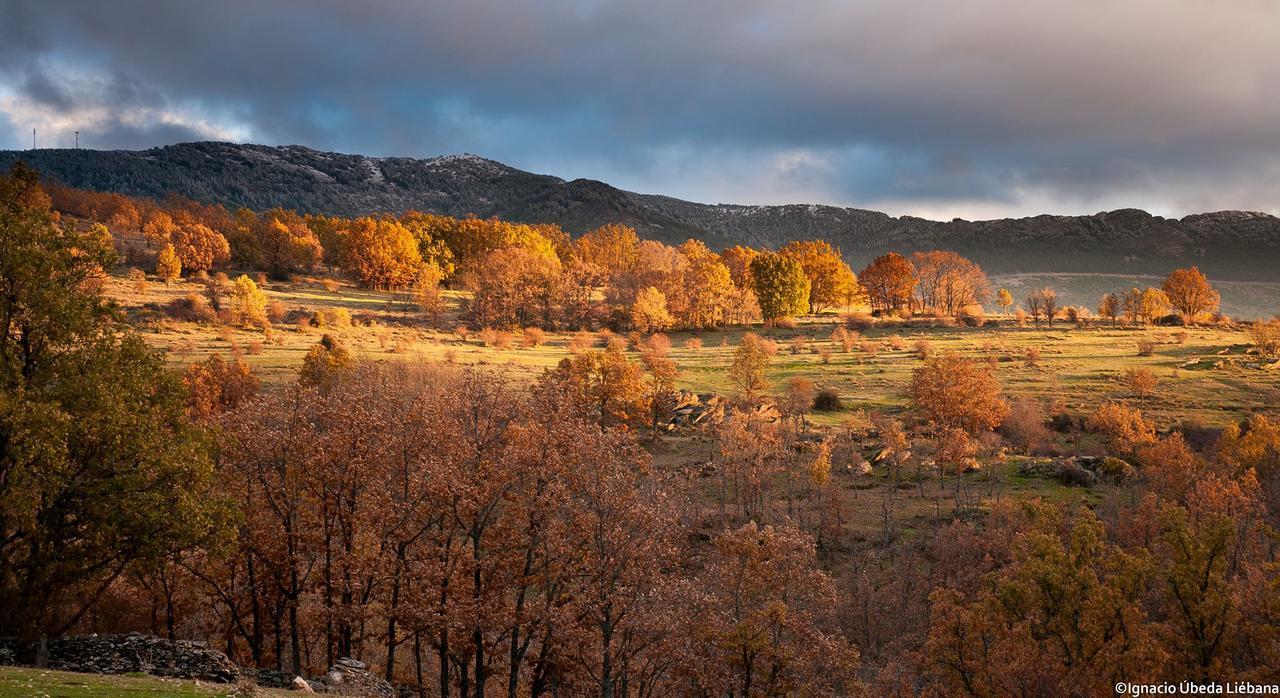 Al Viento, Alojamiento & Turismo Rural Pradena Del Rincon المظهر الخارجي الصورة